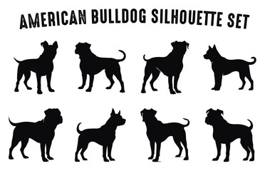 American Bulldog vector Silhouette set, American Bulldog black Silhouettes isolated on white background