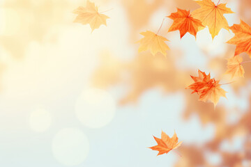 Yellow and orange fallen maple leaves on abstract background. Autumn natural backdrop. Fall season. Copy space
