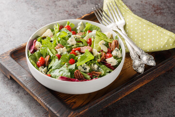 Delicious fresh salad with leaf lettuce, dried cherries, gorgonzola cheese, pecans dressed with vinaigrette sauce close-up in a bowl on the table. Horizontal