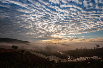 Dawn on the outskirts of Da Lat, a morning with dew covering the hilltops, in the sky there are beautiful colorful fish scale clouds.