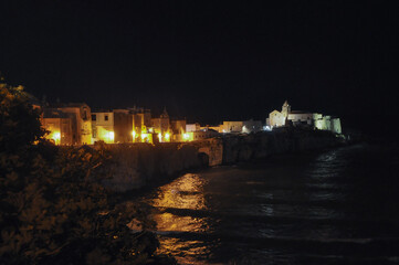 View of the city of Vieste at night