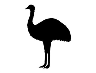 Emu silhouette vector art white background