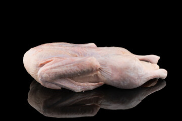 Raw whole duck isolated on black background. Fresh duck  meat isolated on black background. Raw duck