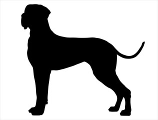 Great Dane dog silhouette vector art