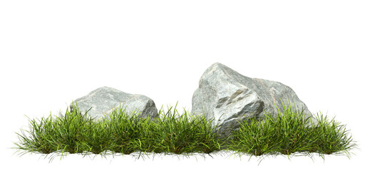 Greenery grass prairie growth with rock cutout backgrounds 3d render png © Krit