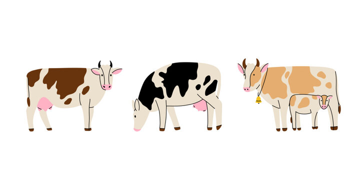Farm animal. Cows different breeds. Cute cow with calf. Hand drawn funny contemporary drawing livestock, milk and meat, standing mammal, cartoon flat isolated vector illustration