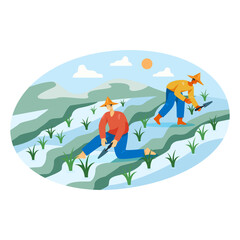 Young workers in uniform working on rice plantation. Growing, processing, harvesting concept. Flat vector illustration in cartoon style in green and blue colors