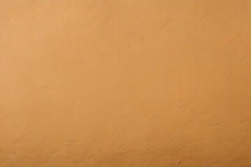 Obraz premium Abstract parchment old retro page grunge blank