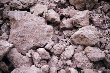 close up of rock