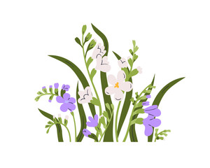 Naklejka na ściany i meble Flowers and leaf decoration. Spring, summer blooms, blossomed freesia plants. Floral branches, stems. Delicate gentle wildflowers decor. Botanical flat vector illustration isolated on white background