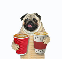 Dog pug holds two cups of coffee - 641135466