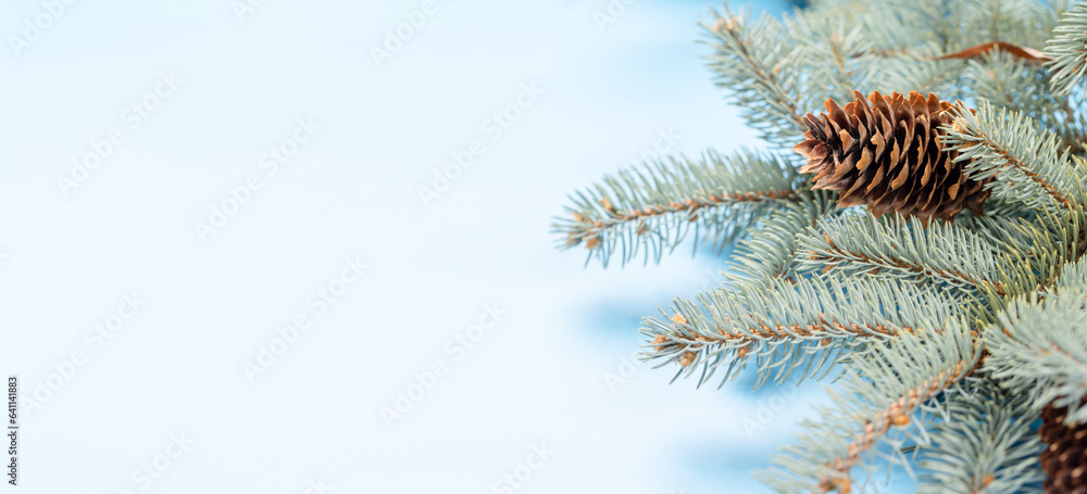 Sticker christmas fir tree branch over blue