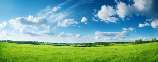 Fototapeta na wymiar beautiful landscape with grass and blue sky with cumulus clouds floating across it, legal AI