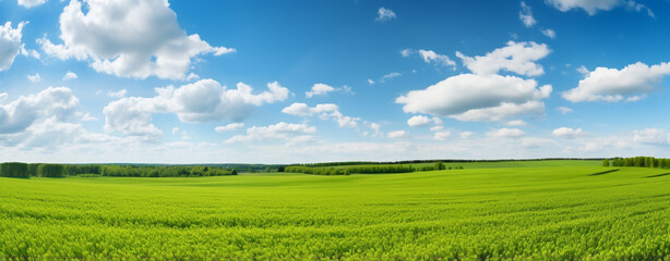 Fototapeta na wymiar beautiful green field and blue sky on a sunny day. panorama, legal AI