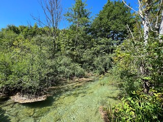 Landscape and environment of Plitvice Lakes National Park (UNESCO) - Plitvica, Croatia or Slikoviti krajobrazi i prekrasni motivi iz nacionalnog parka Plitvička jezera - Plitvice, Hrvatska