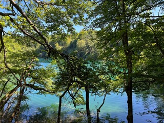 Landscape and environment of Plitvice Lakes National Park (UNESCO) - Plitvica, Croatia or Slikoviti krajobrazi i prekrasni motivi iz nacionalnog parka Plitvička jezera - Plitvice, Hrvatska