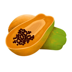 Papaya fruit illustration in png format