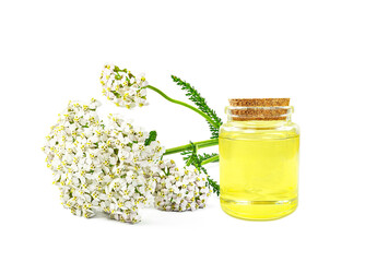 yarrow essential oil in a bottle isolated on a white background
