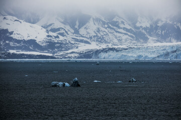 Cruise to Hubbard Glacier Bay in Alaska with floating ice bergs and drift ice floes on ocean water surface surrounded by snow cap mountains and wildlife wild nature scenery Last Frontier adventure