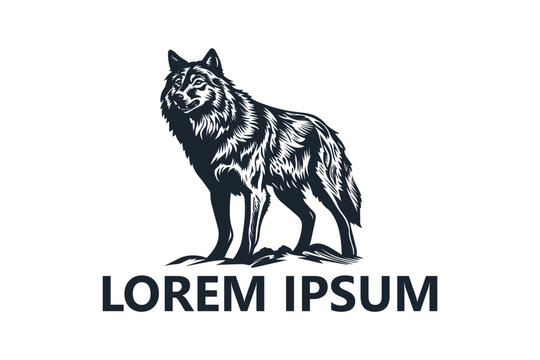 Wolf logo template design vector