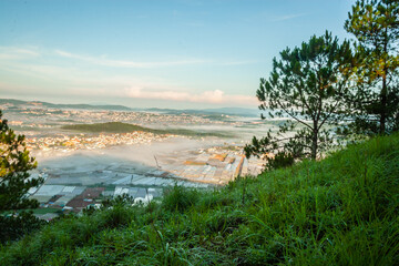 Obraz premium Da Lat pine forest in the morning mist