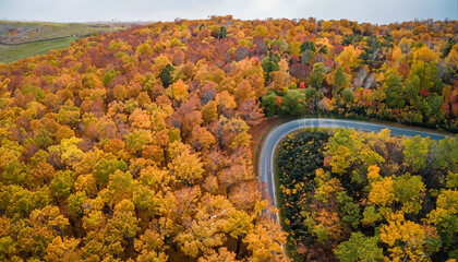 Foliage, autumn, trees, aerial, road, landscape, northeast, new england, country, leaf, change, nature, yellow, orange, forest, pattern, color