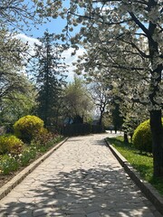 alley in the park