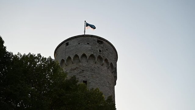 Tallinn, Estonia - August 29, 2023: Estonia flag on main Pikk Herman tower at summer night before sunset