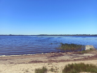 A view of the wild sandy Dnipro beach against the background of a clear blue summer sky.
