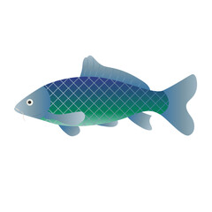 Fish gradient illustration