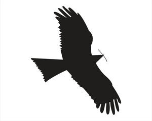 flying bird silhouette, eagle vector.