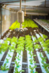 Greenhouse watering system in action