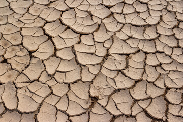 Sun-dried and cracked mud after puddle drying
