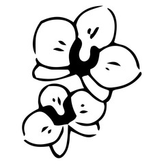 Orchid flowers cartoon illustration