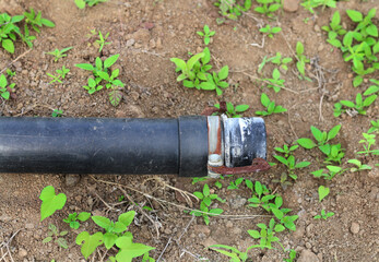 from a leaky pipe in farm land. from a rusty water pipe. Constant stream of water coming from a pipe. or burst out of a leaking plumbing pipe laid on the ground. black pvc pipe in joint area