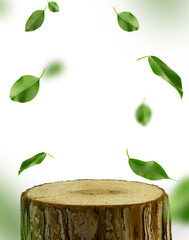 Wooden podium with green floating leaves on a white background with space for a replica. Banner for advertising cosmetics and any other products on a wooden pedestal. Stump with brown bark on a white