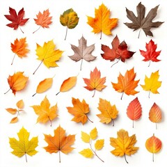 Collection of autumn leaves. Created with Generative AI technology
