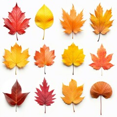 Collection of autumn leaves. Created with Generative AI technology
