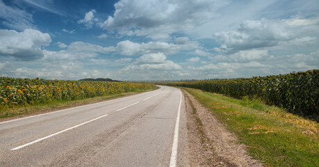 Asphalt road under blue sky with clouds, nature landscape background