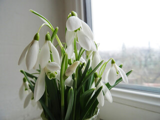 Wildflowers in a bouquet, white snowdrops in a glass of champagne, background image