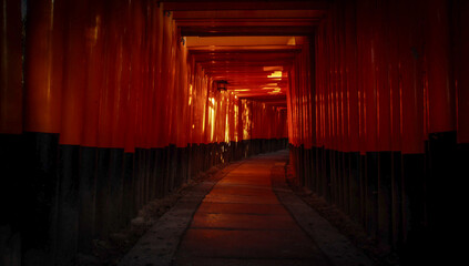 Fushimi Inari Shrine, traditional Torii gates at sunset