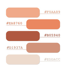 Earthy pink tones color palette, boho colors catalog, color matching, RGB, CMYK colors, harmonious colors palette sample, design and edit idea, with hex code