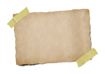 Note papers with adhesive tape or squared and lined note, notebook paper strips, pieces stuck with sticky tape on transparency background