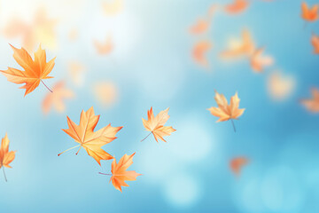 Yellow and orange fallen maple leaves on blue background. Abstract autumn natural backdrop. Fall season