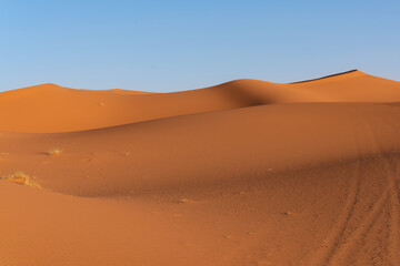 Fototapeta na wymiar Great dunes of the Merzouga desert