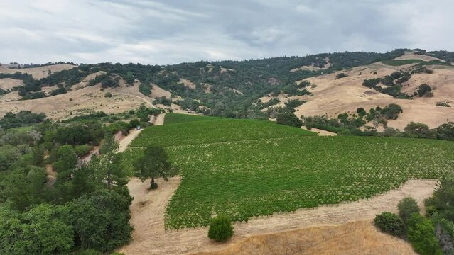 Aerial California Boonville vineyard farms hills slide. Mendocino county, California. Grape, wine farm regions along Navarro River. Mountains, hills, valley and farming. Redwood and pine forests.