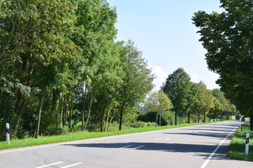 Fototapeta na wymiar country road in the south of Luxembourg