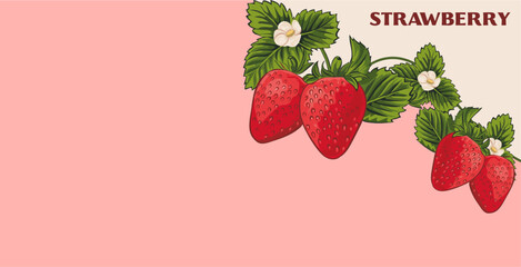 vector strawberry background isolated on a pink background