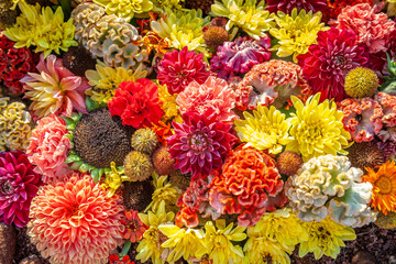 Beautiful autumnal flower background. Flowers decoration, view from above