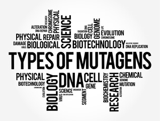 Fototapeta premium Types of Mutagen (anything that causes a mutation, a change in the DNA of a cell) word cloud text concept background